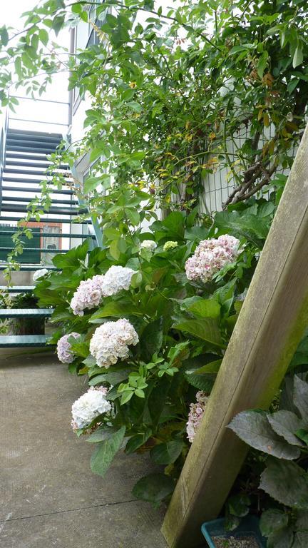 Azores Holidays House -B&B - Suites - Self Check-In Keyboard 蓬塔德尔加达 外观 照片